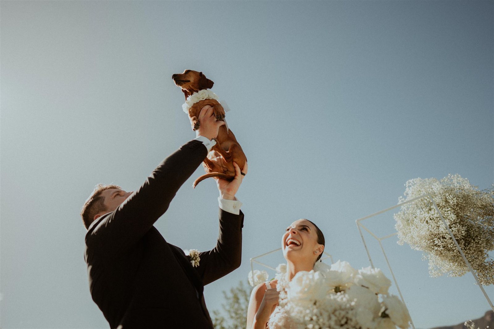 A groom holding a dachshund up to the blue sky while the bride laughs beside her bouquet